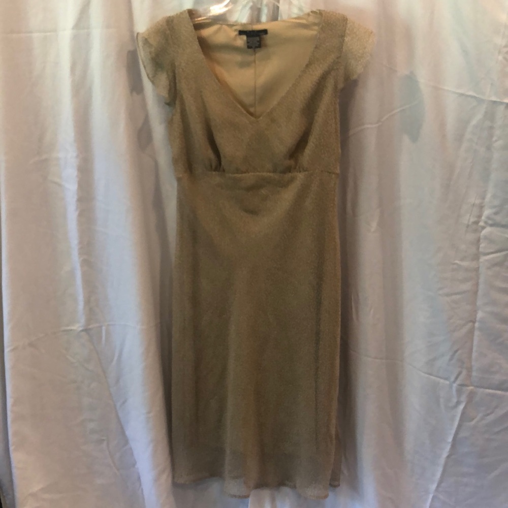 BUNDLE🛍3/$25 - F.L.P. sheer tan dress with white dot detailing.  Fully lined.